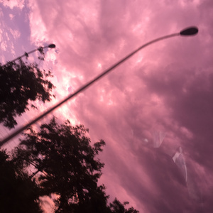 舒淇做爰全过程裸体
