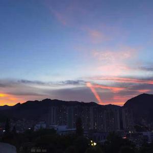 舒淇做爰全过程裸体
